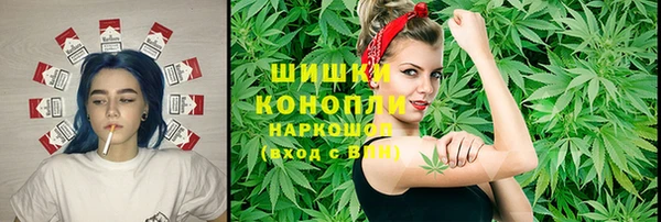 прущий лед Богородицк