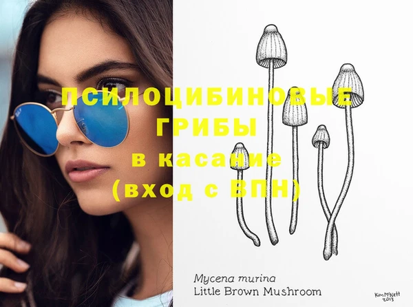 прущий лед Богородицк