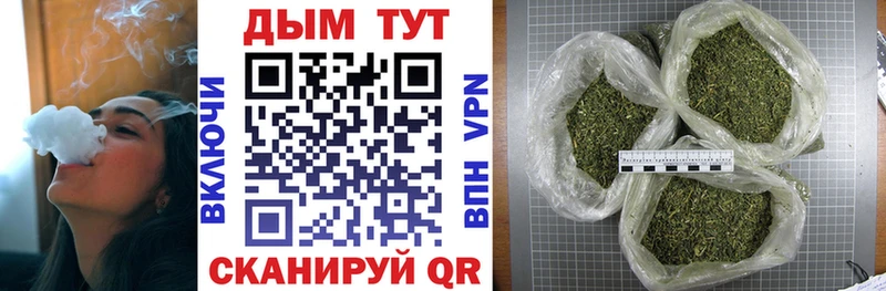 Купить  Суворов  Шишки марихуана VHQ 